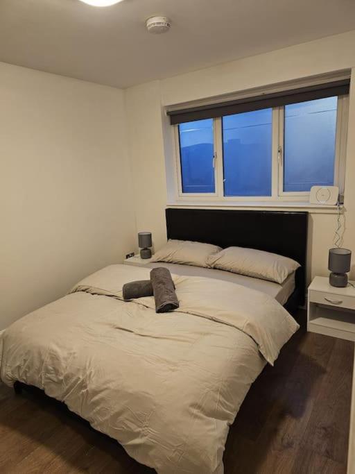 Beautiful Garden Flat Near Central 伦敦 外观 照片